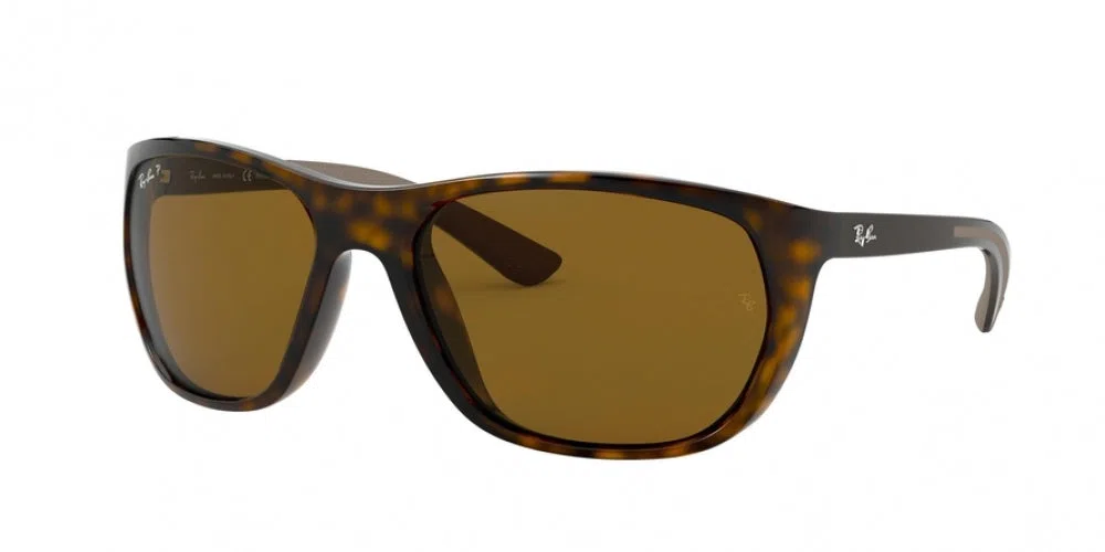 Ray-Ban 4307 Sunglasses - view 2